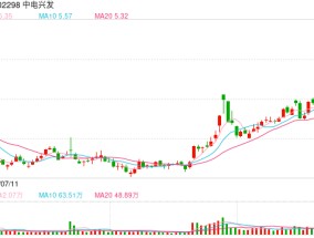 中电兴发控股股东100%持股被司法冻结 公司回应原因