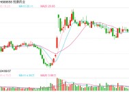 悦康药业终止“智能编码系统建设项目”