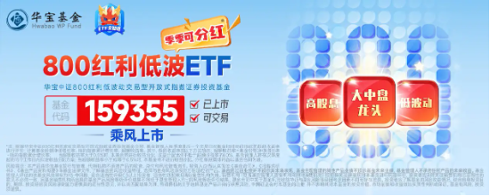 银行领衔，高股息普涨！全市场唯一800红利低波ETF（159355）涨近1%，机构有望继续增配红利